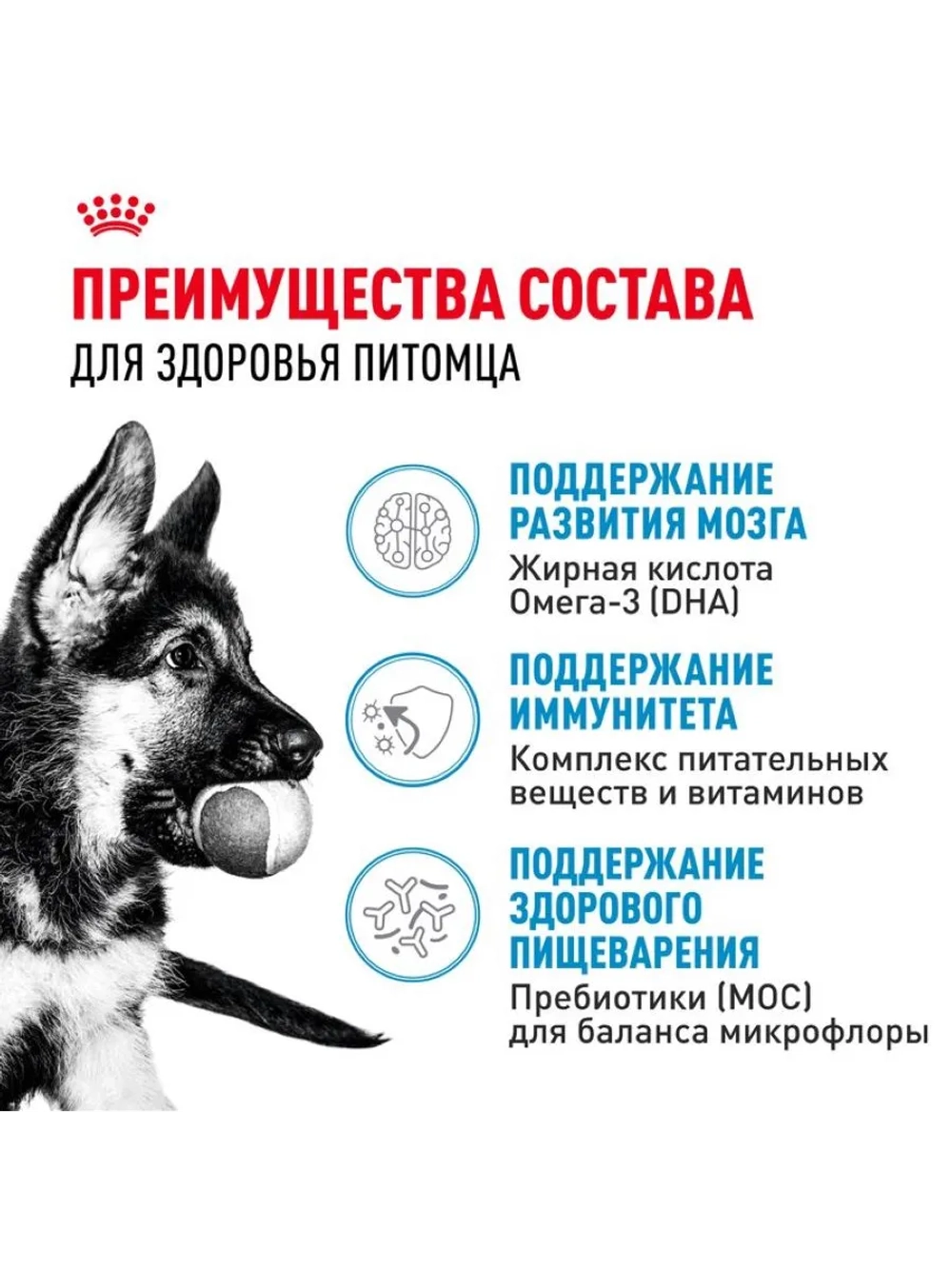 MAXI Puppy Корм для щенков крупных пород 3кг