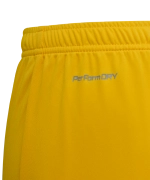 Шорты игровые DIVISION PerFormDRY Union Shorts, желтый