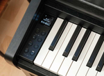 Kawai CA401