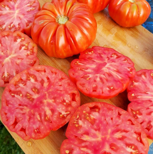 Помидоры Марманд от Мадам Гарньер из Парижа - MARMANDE GARNIER Tomatoes
