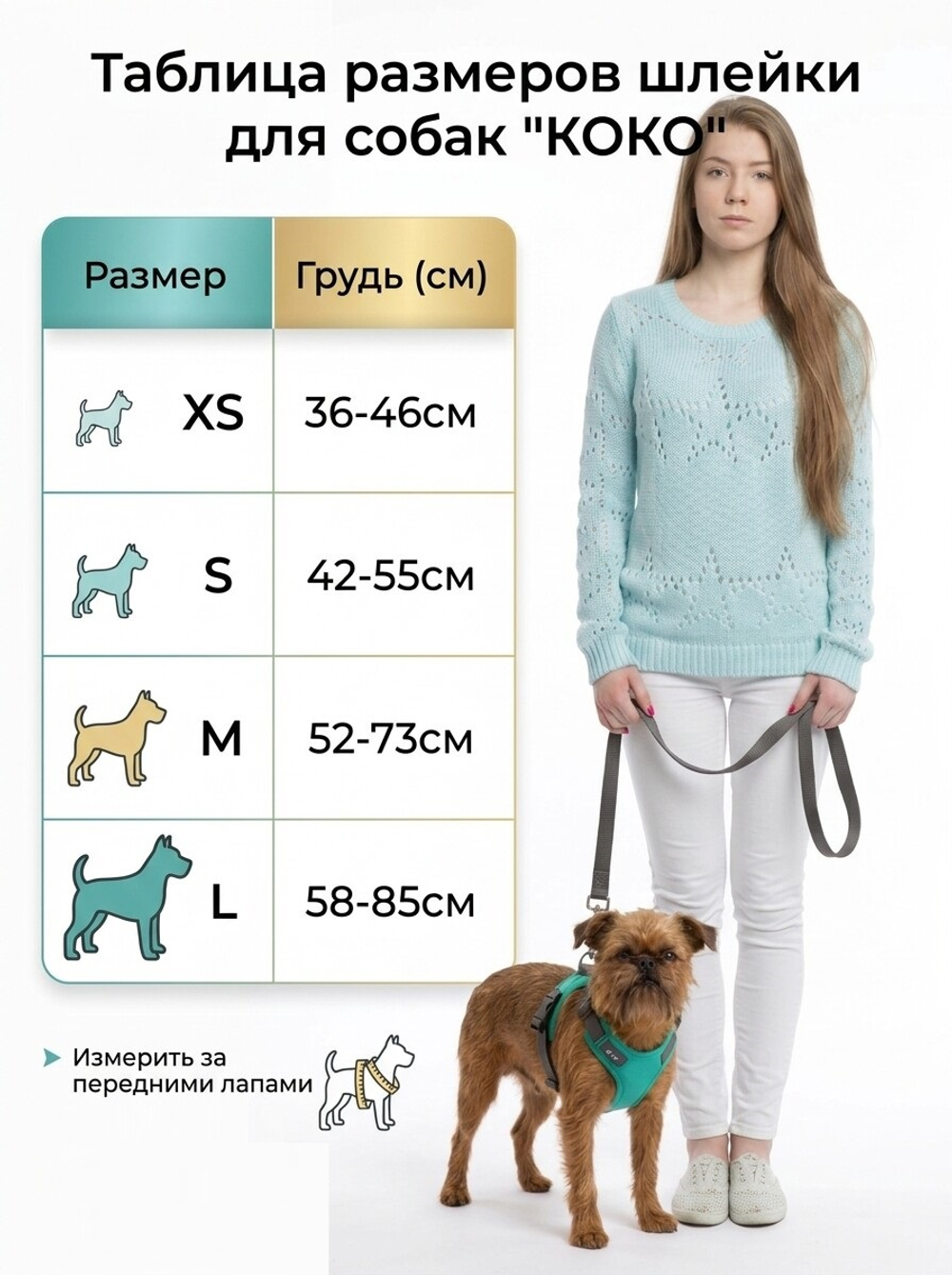 Шлейка для собак прогулочная " КОКО"