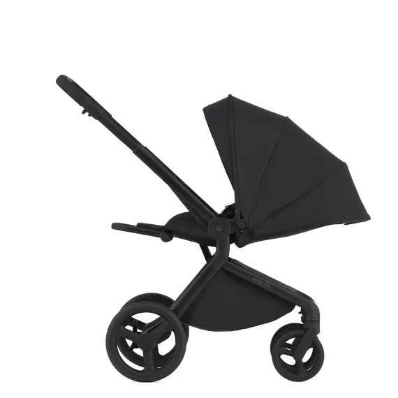 Коляска ANEX Flo 2 в 1 Lungo