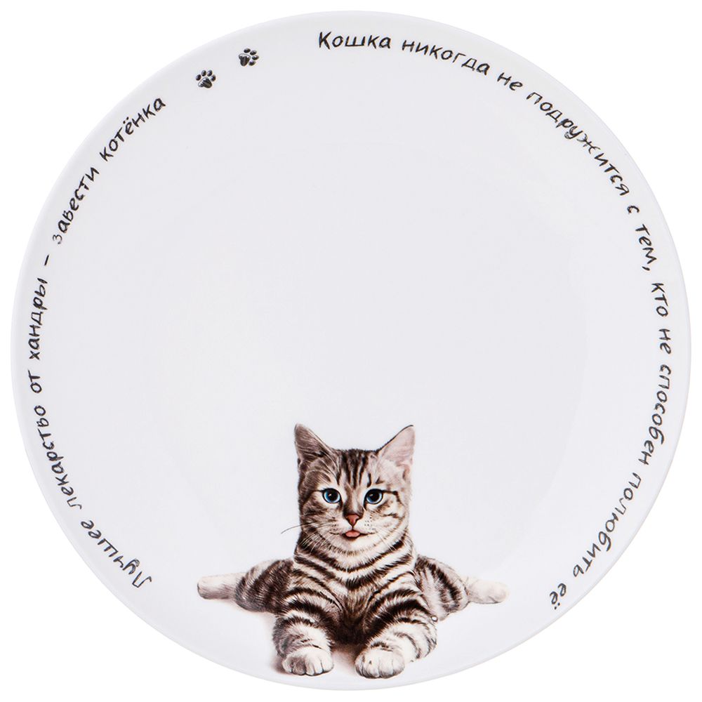ТАРЕЛКА ЗАКУСОЧНАЯ LEFARD "БЕРИ КОТА" 20,5 СМ, РАЗНОЦВЕТНЫЙ (КОР=48ШТ.)