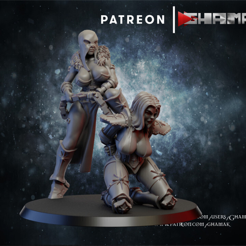 Adepta Sororitas Repentia Захват провинившейся сестры миниатюра для dnd, днд, pathfinder, фентези, Настольная игра, НРИ, Варгейм, РПГ