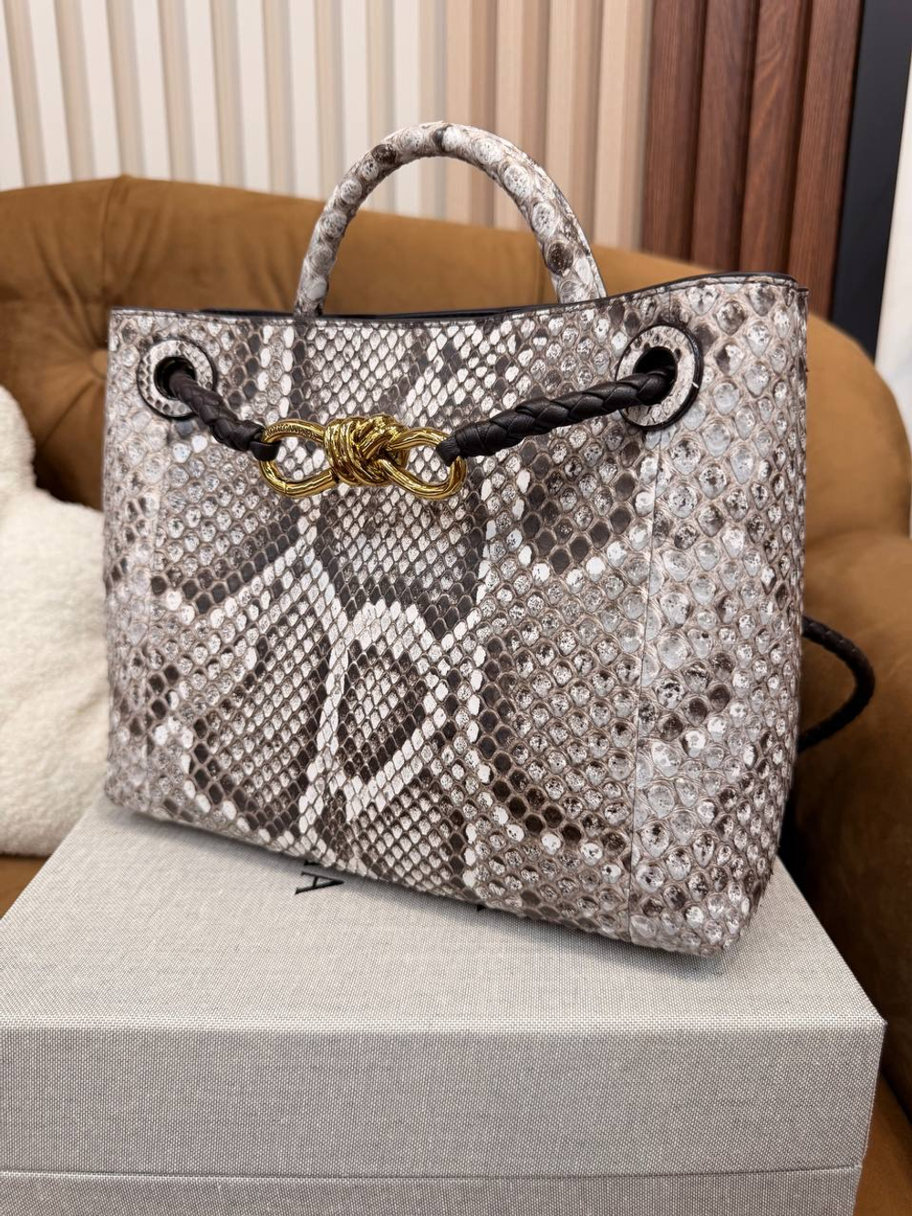 Клатч-Сумка Bottega Veneta Andiamo Small 26 из кожи Питона