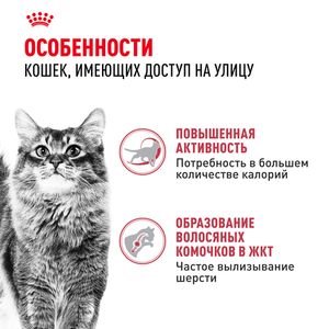 Сухой корм Royal Canin Fit 32 для взрослых умеренно активных кошек и имеющих доступ на улицу
