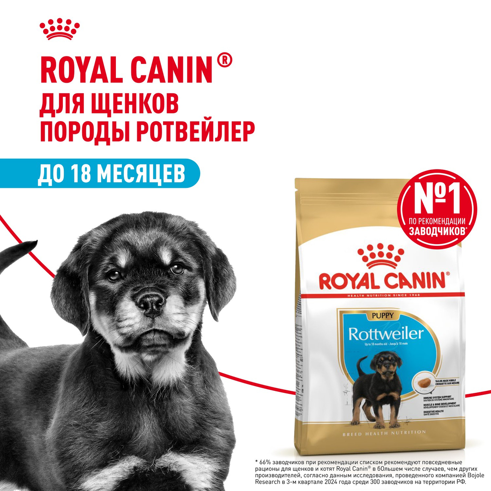 Royal Canin Rottweiller Puppy Ротвейлер Паппи Корм сухой для щенков породы Ротвейлер до 18 месяцев 12кг