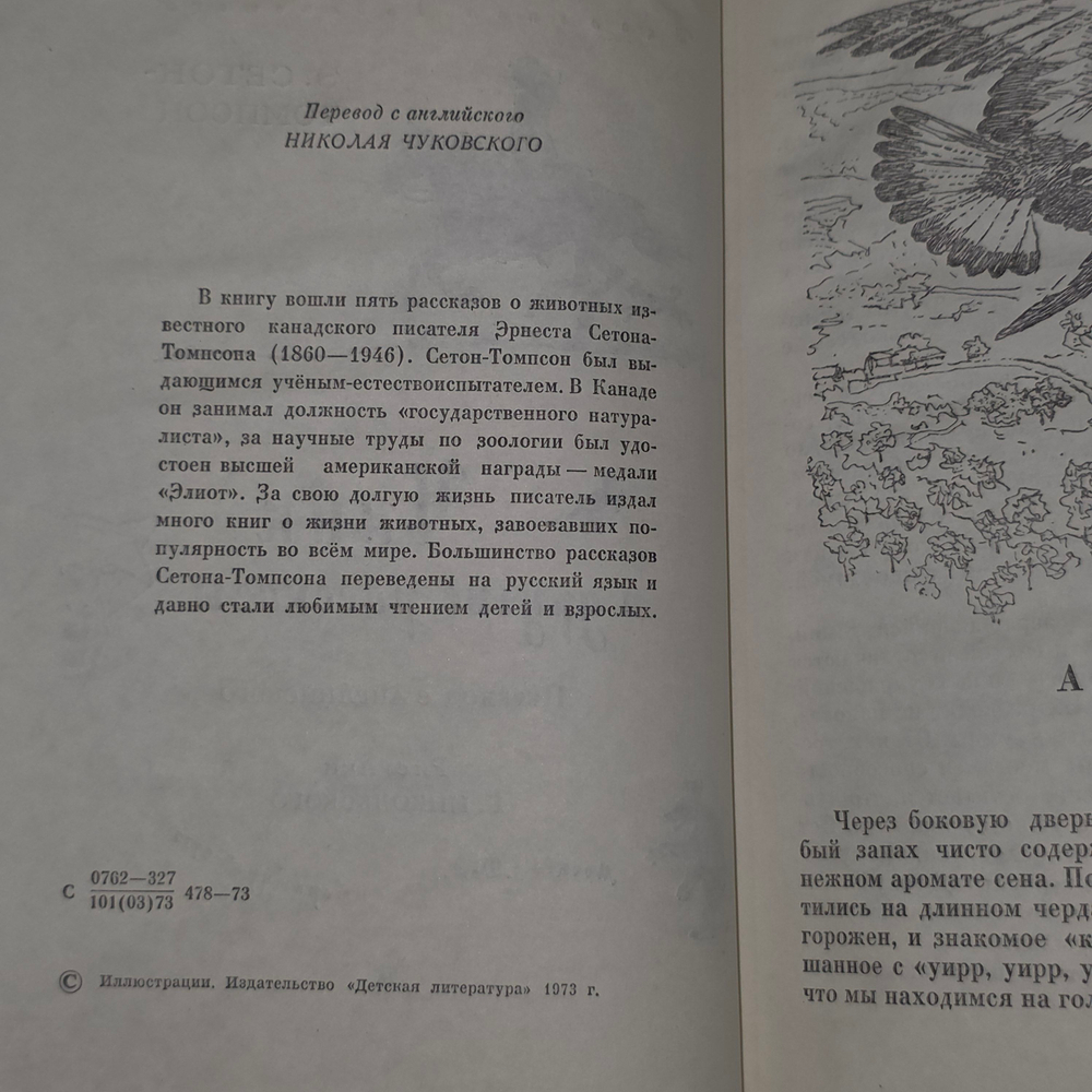 книга " Чинк и другие рассказы "