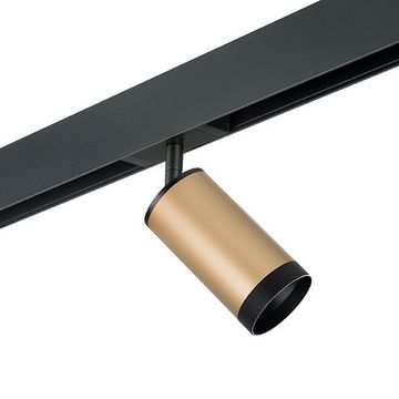 Комплект со светильником 1*GU10 220V PRO440437 золото/чёрный Rullo Pro Lightstar