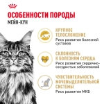 Корм Royal Canin Maine Coon Adult для кошек породы мейн-кун старше 15 месяцев 0.4кг