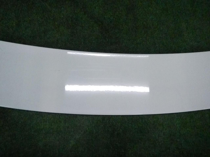 DSCN7804.JPG