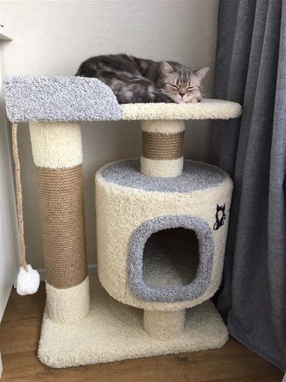 Домик для кота Д-6