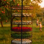 Подвесная сушилка prodry modulable 75х6 с ярусами яблок, малины, зелени, ромашек на фоне сада