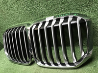 Решетка радиатора BMW X7 G07 (2019-2022)