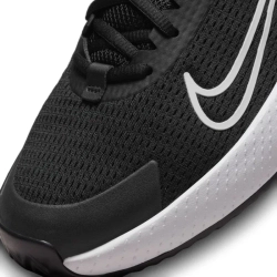 Мужские теннисные кроссовки Nike Vapor Lite 2 Clay
