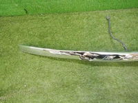 DSCN7522.jpg