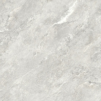 LCM Ajax Gray 80x80
