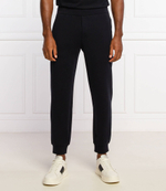 спортивные штаны Emporio Armani - черный(6K1PF6 1JHSZ)