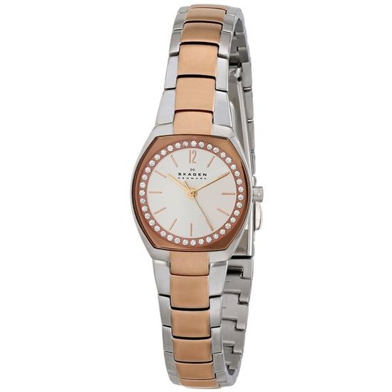 Наручные часы Skagen SKW2112
