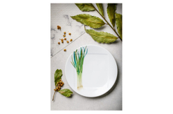 Тарелка десертная 16см Noritake Овощной букет Зеленый лук