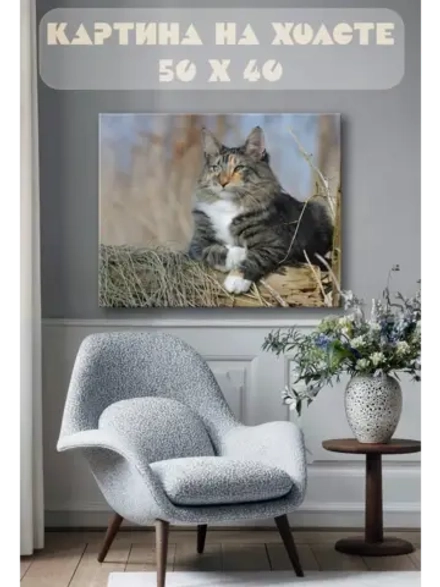 Картина на стену 40 X 50 Кот
