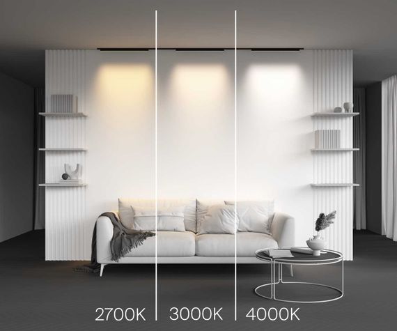 Трековый светильник Maytoni Technical Basis TR192-1-16W2.7K-B