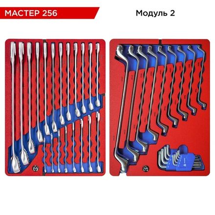Цена на МАСТАК (5-00256) Набор инструментов "МАСТЕР 256" для тележки, 11 ложементов, 256 предметов