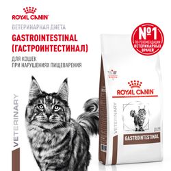 Сухой корм ROYAL CANIN Gastrointestinal диетический для взрослых кошек при расстройствах пищеварения - 2 кг