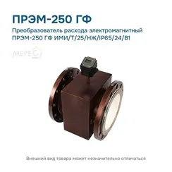 Преобразователь расхода электромагнитный ПРЭМ-250 ГФ ИМИ/T/25/НЖ/IP65/24/B1