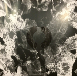 Sigur Ros / () (Limited Edition)(2LP+CD)