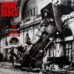 Mr. Big / Lean Into It (30th Anniversary)(Coloured Vinyl)(LP)