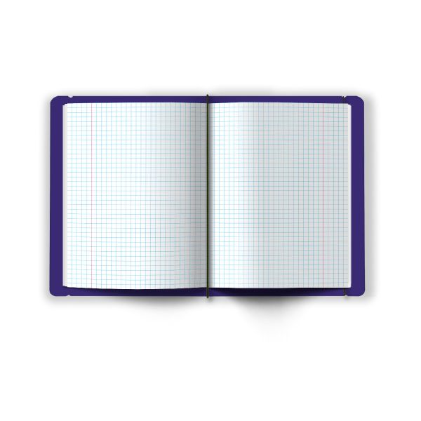Тетрадь общая в съёмной пластик. обложке на резинке, тиснение фольгой, 500 мкр, A5+ 48 л. папка 65 г/м², белизна 100%, 4 шт, клетка, 000824 Тёмно-сиреневая, Светоч ТЕТ48-001