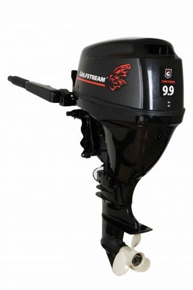 Лодочный мотор Golfstream F9.9 BMS