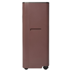 Кондиционер мобильный Ballu Twinkle BPAC-09 DWR/N6 Red