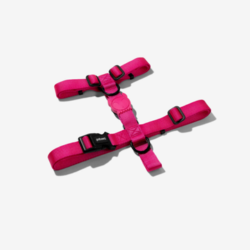 Шлейка PINK LED Zee.Dog