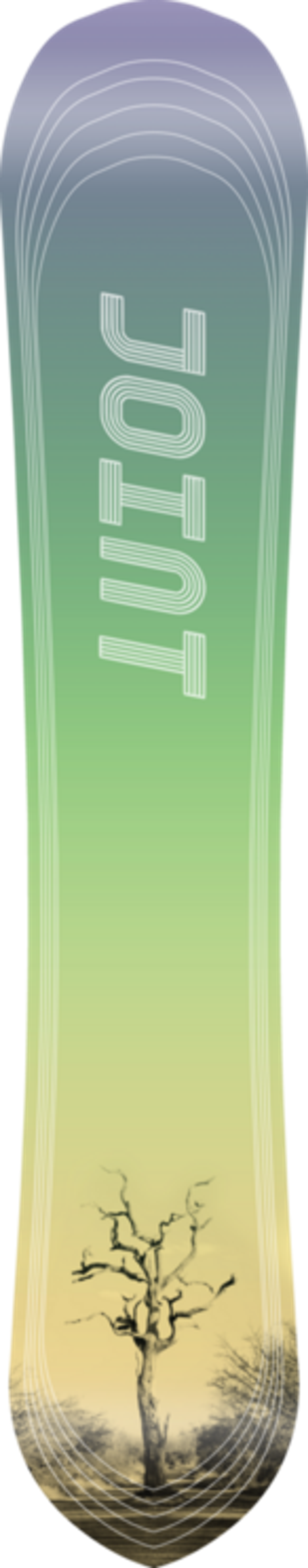Сноуборд JOINT FOREST