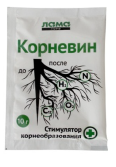 Корневин