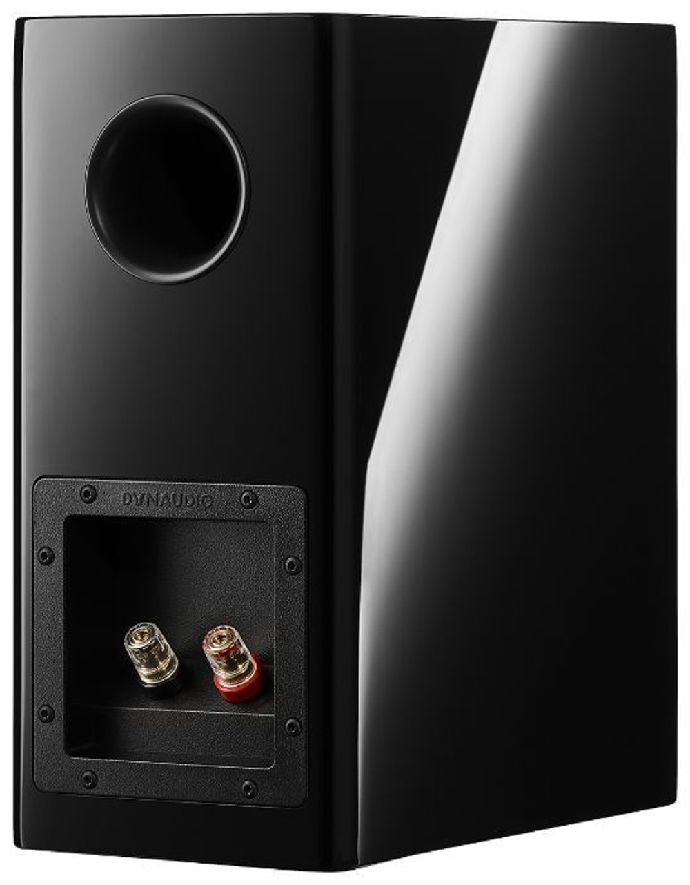 Акустическая система Dynaudio Evoke 10