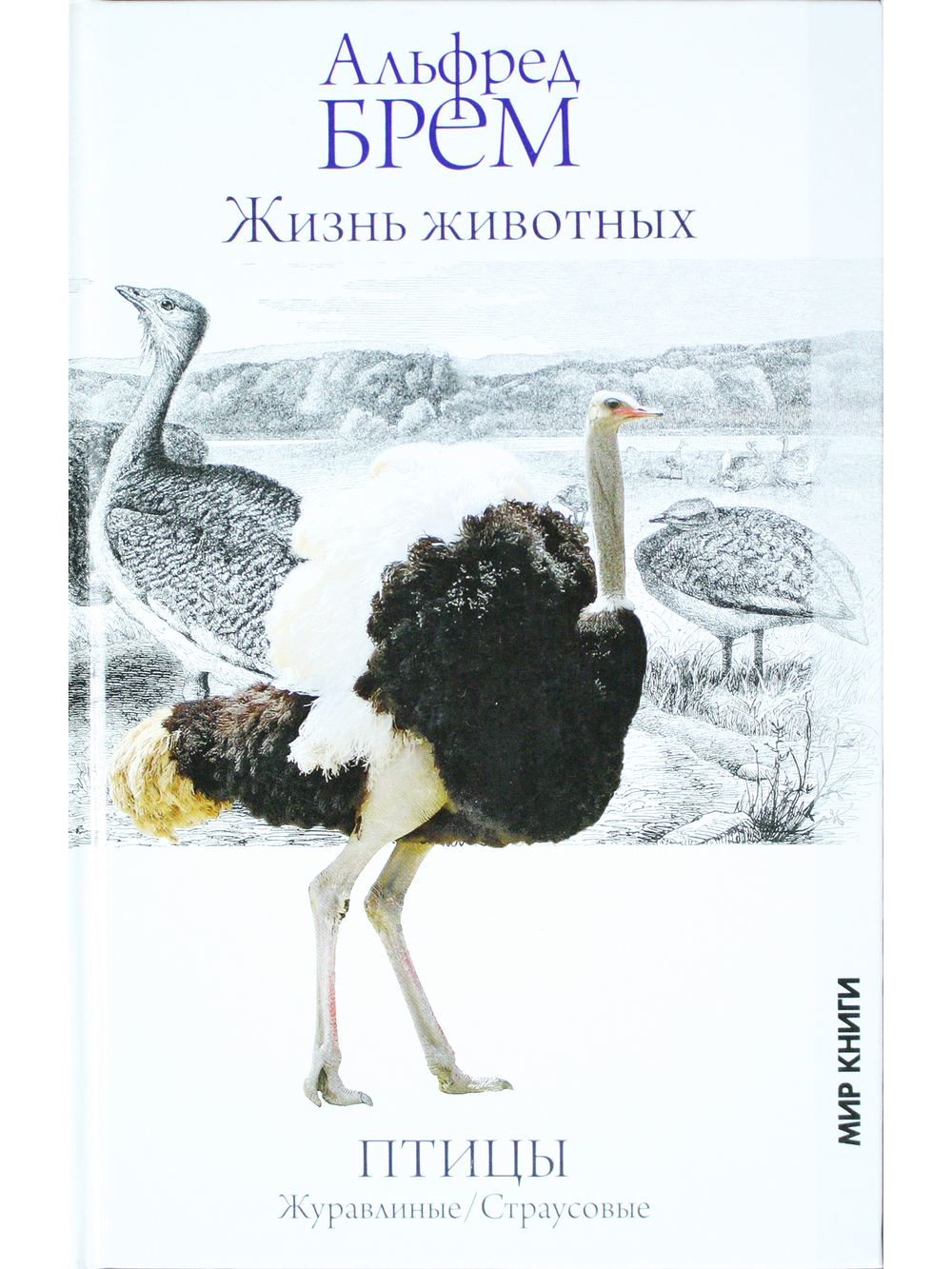 Жизнь животных. Птицы