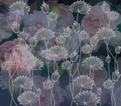 Коллекция Flower Dreams