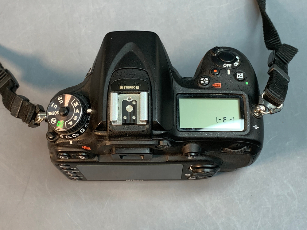 Nikon D7100 67.947 кадров