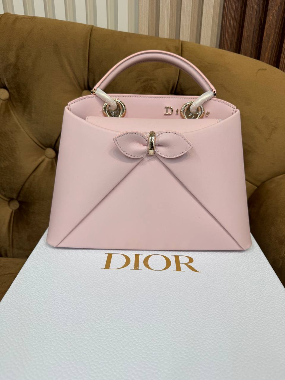 Сумка Christian Dior Cigale
