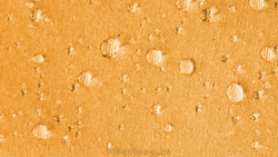 Outwell Lanai Reef [110264]