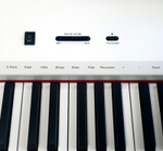Sai Piano P-9BT