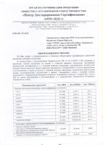Значок светоотражающий "Рыжий кот", 55х50 мм