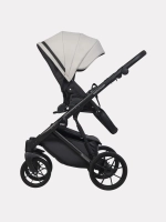 Коляска 2 в 1 Riko Basic Montana Ecco цвет 31 Light Silver-Black (св.серый-черный)