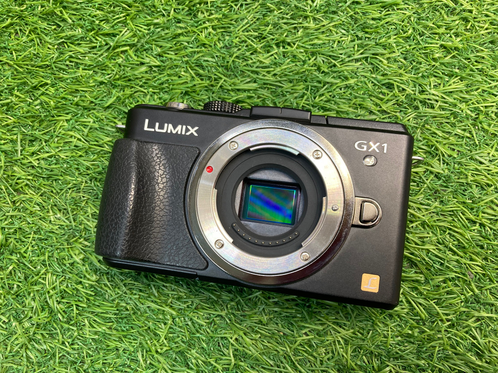 Panasonic Lumix DMC-GX1 400 кадров