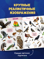 Первая фотокнига малыша. Большая фотокнига для развития речи