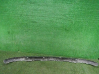 DSCN9916.JPG