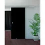 Фото раздвижной двери Triplex Black в интерьере 2